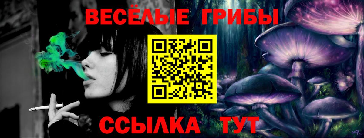 Псилоцибиновые грибы мухоморы Дзержинск
